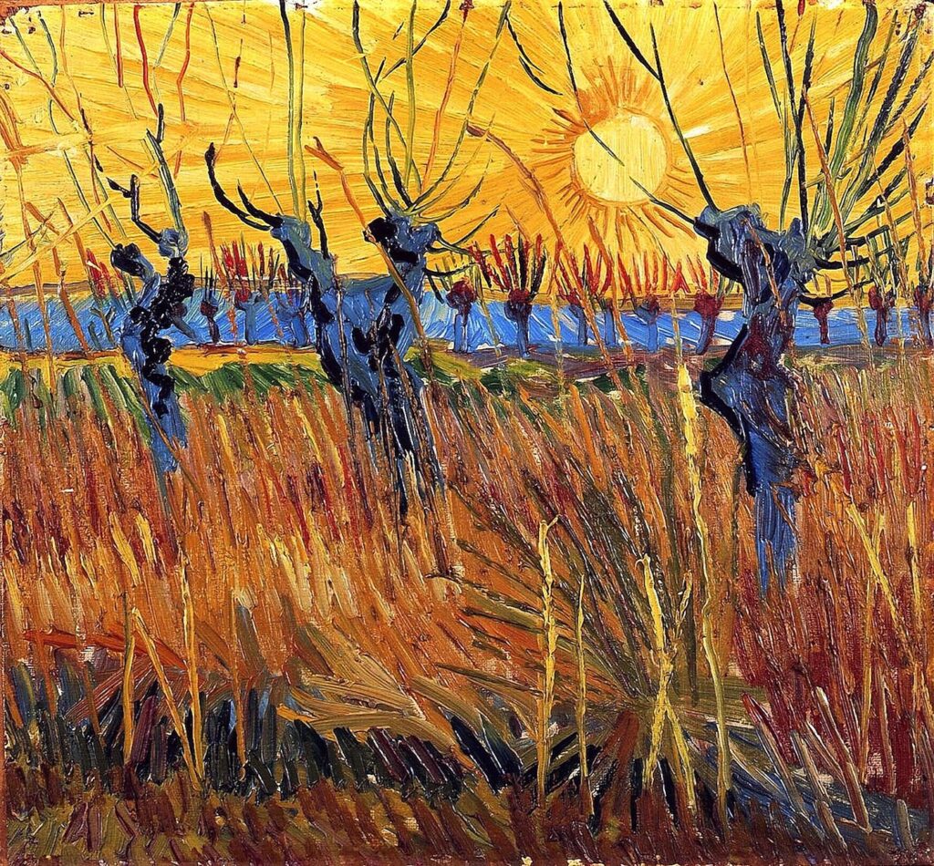 Saules têtards au coucher de soleil, 1888