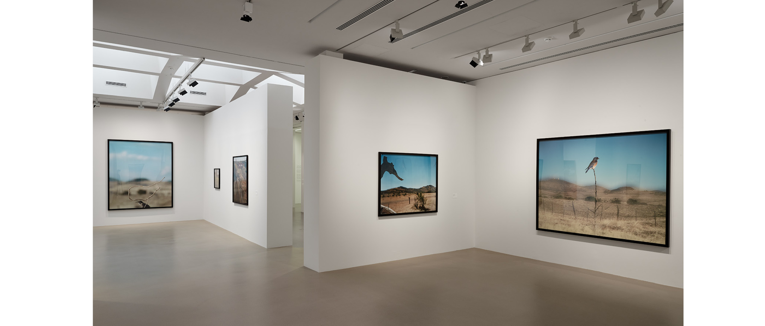 Fondation Vincent van Gogh Arles Centre